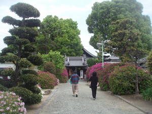f:id:sampodow:20080504224033j:image f:id:sampodow:20080504224033j:image