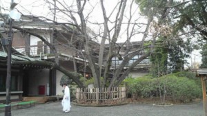f:id:sampodow:20090315211637j:image f:id:sampodow:20090315211637j:image