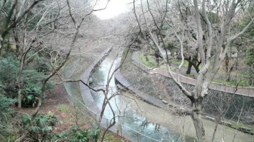 f:id:sampodow:20090315212854j:image f:id:sampodow:20090315212854j:image