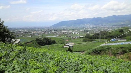 f:id:sampodow:20090726224038j:image