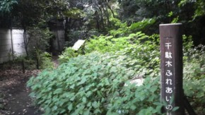 f:id:sampodow:20090915193840j:image f:id:sampodow:20090915193840j:image