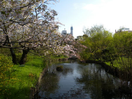 f:id:sampodow:20100411221600j:image f:id:sampodow:20100411221600j:image