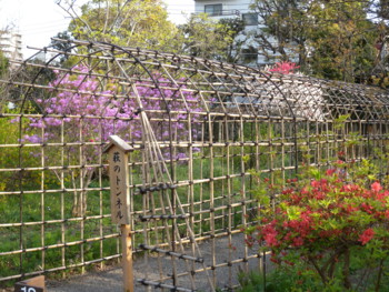 f:id:sampodow:20100411223154j:image f:id:sampodow:20100411223154j:image