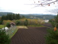 20101028125744
