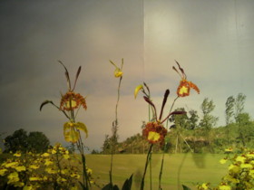 f:id:sampodow:20110220225754j:image f:id:sampodow:20110220225754j:image