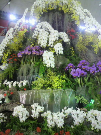 f:id:sampodow:20110220225756j:image f:id:sampodow:20110220225756j:image
