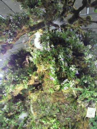 f:id:sampodow:20110220225804j:image f:id:sampodow:20110220225804j:image