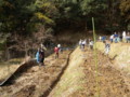 夜久野漆植栽風景　20110227