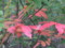 20080915104422