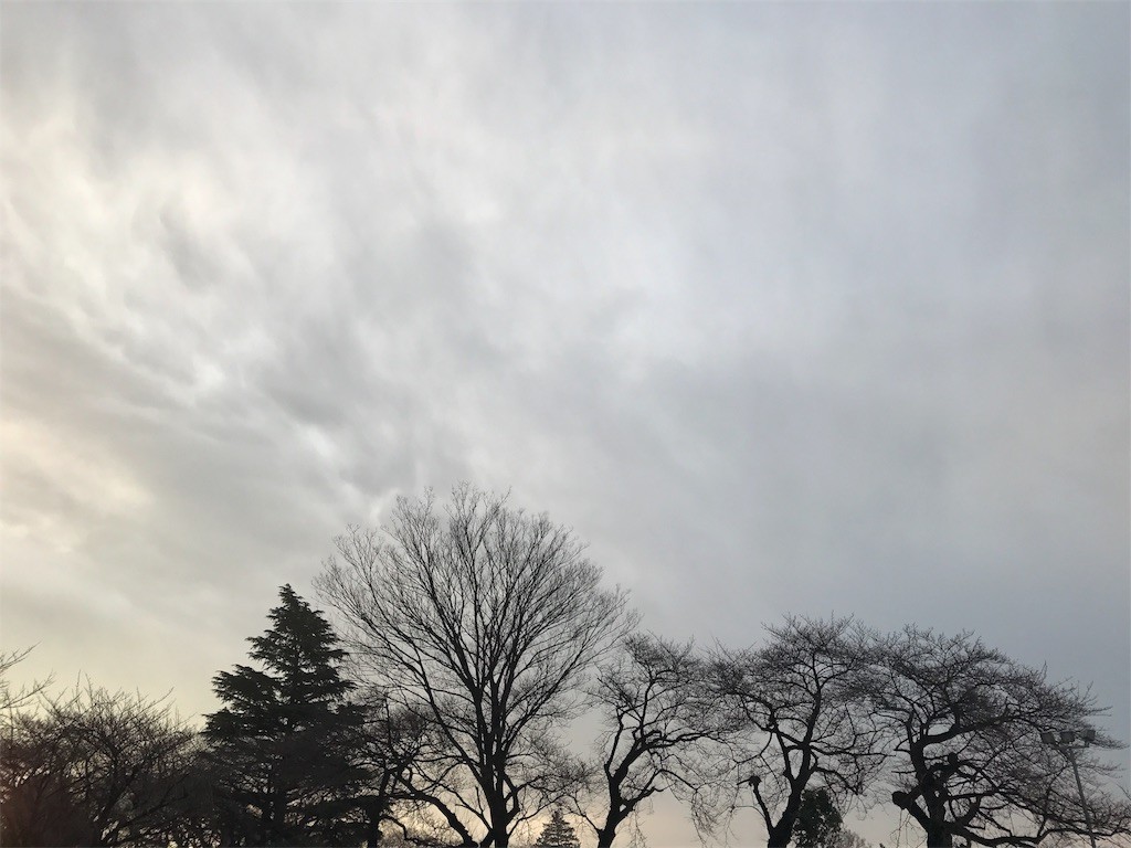 f:id:samso:20170210074135j:image f:id:samso:20170210074135j:image