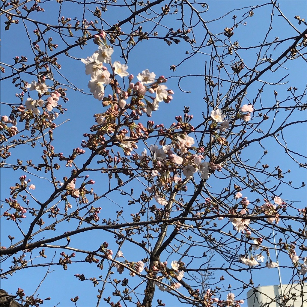 f:id:samso:20170322220410j:image f:id:samso:20170322220410j:image