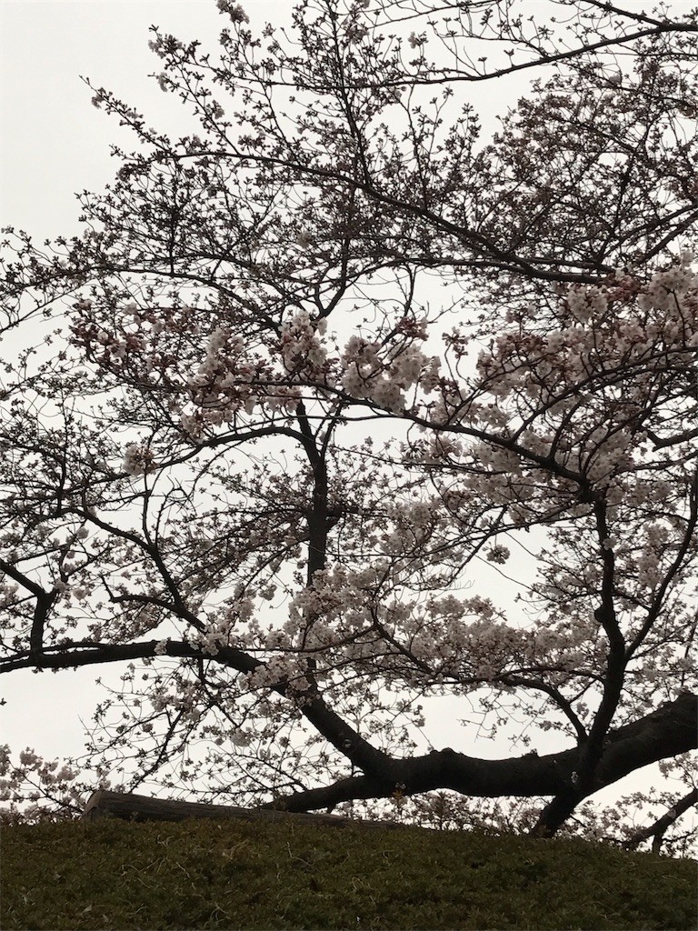 f:id:samso:20170402093016j:image