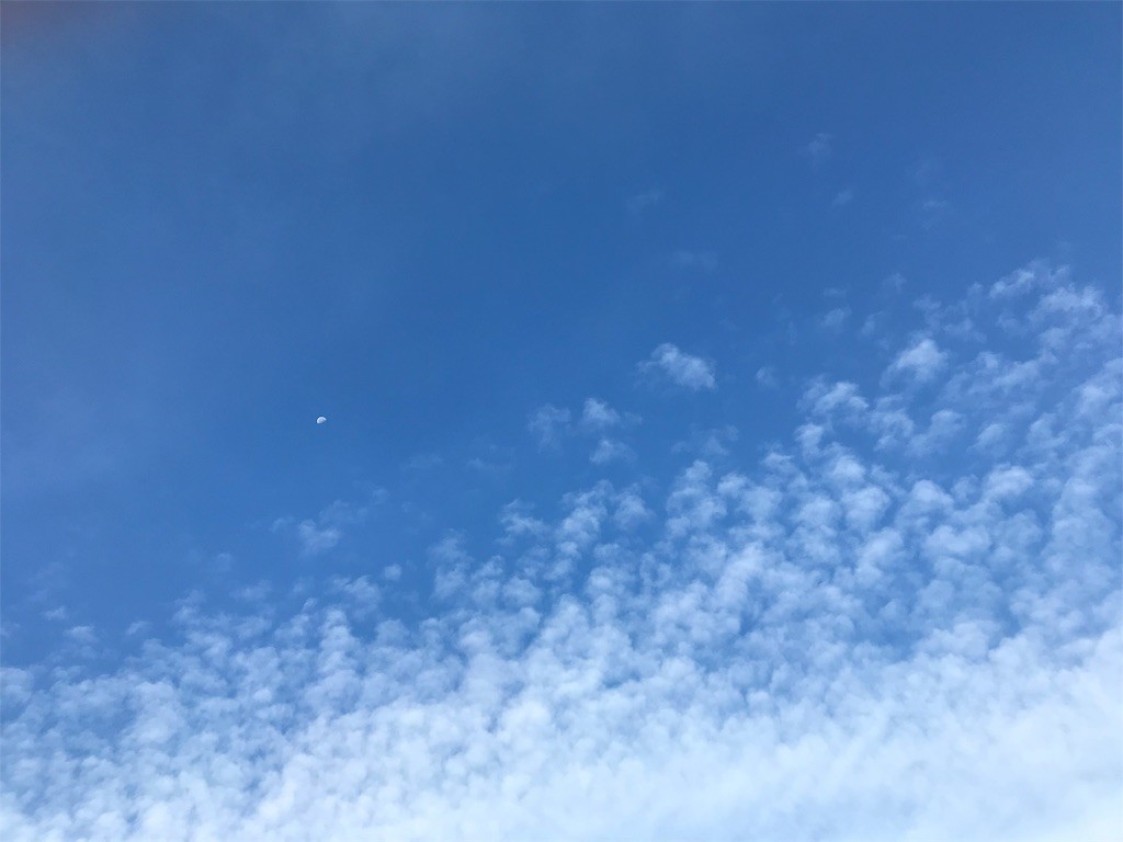 f:id:samso:20181001224213j:image