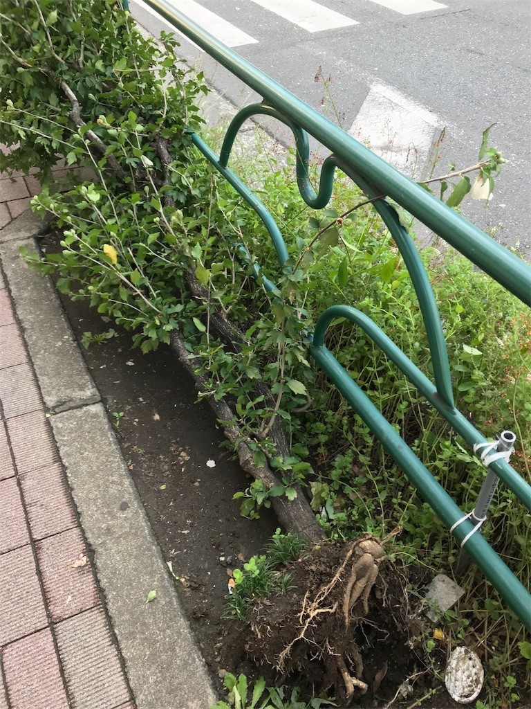 f:id:samso:20181001224312j:image