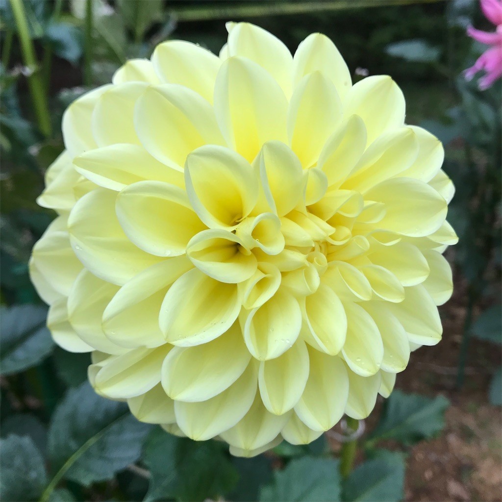 f:id:samso:20181104233908j:image