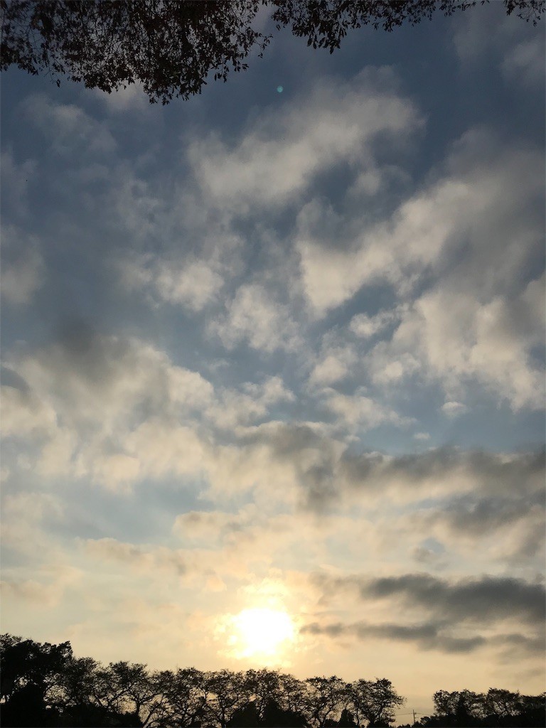 f:id:samso:20181108215701j:image f:id:samso:20181108215701j:image