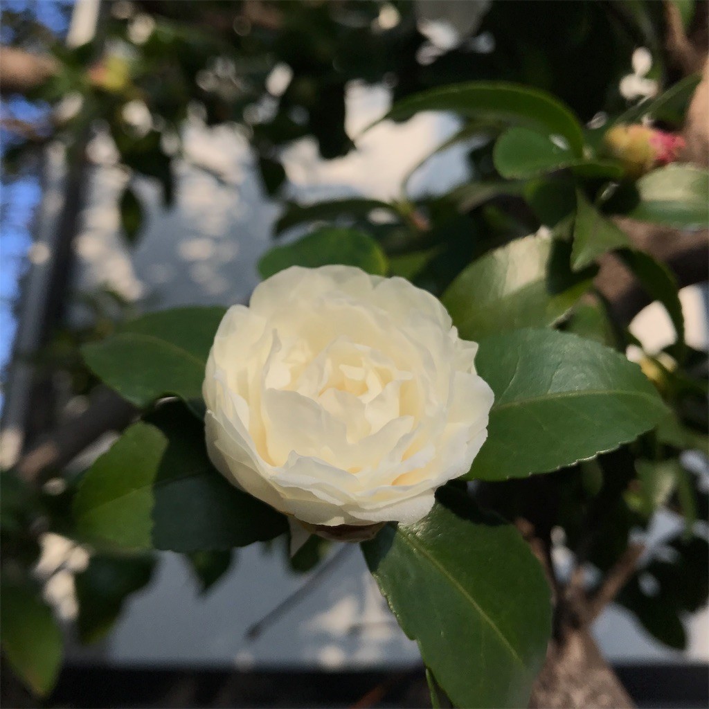 f:id:samso:20181108215735j:image f:id:samso:20181108215735j:image