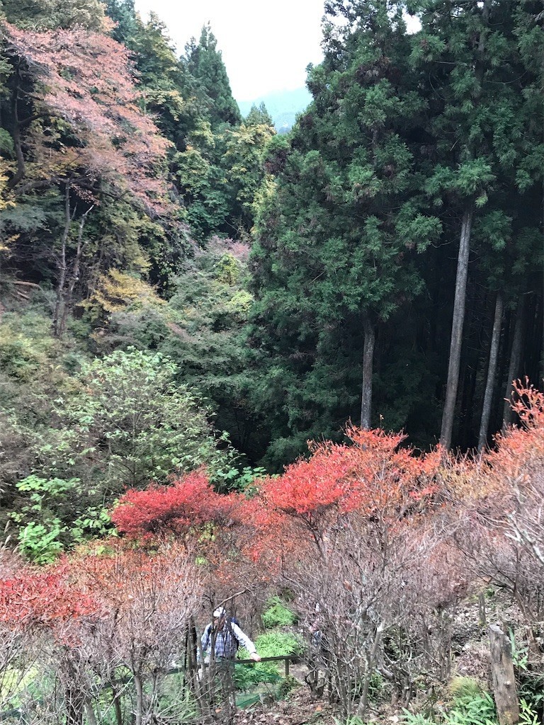 f:id:samso:20181119220201j:image f:id:samso:20181119220201j:image
