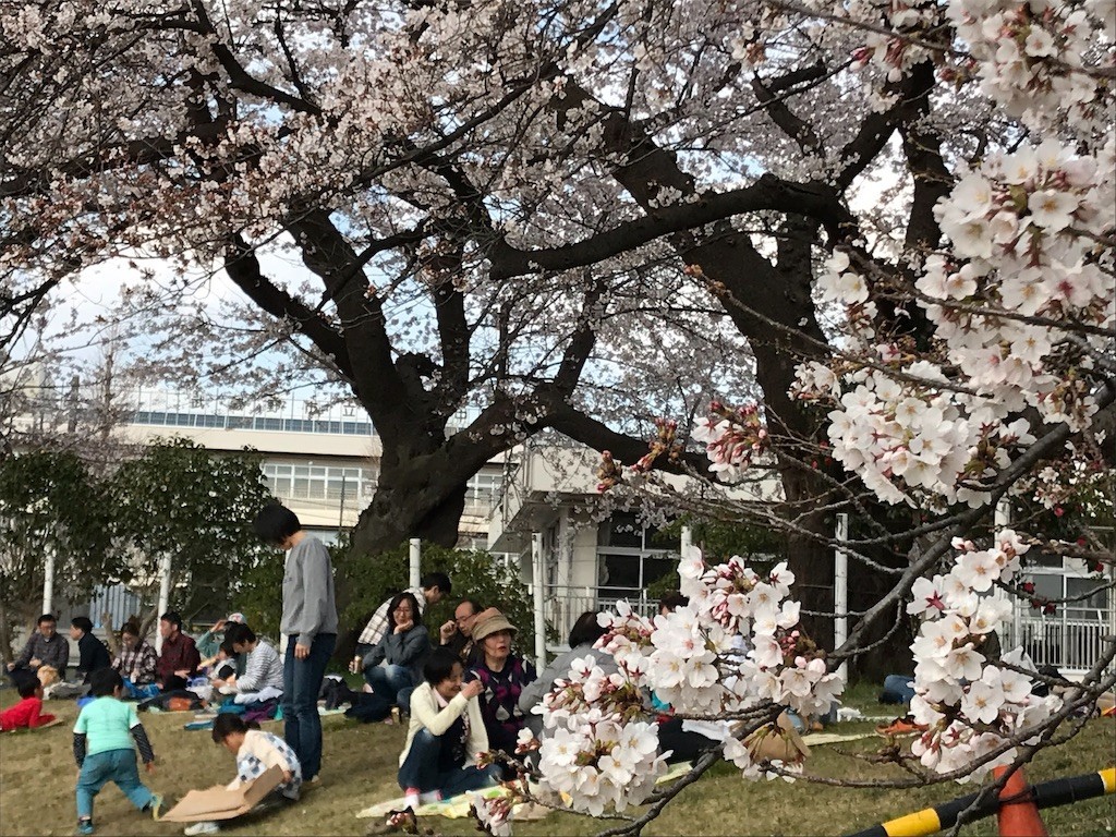 f:id:samso:20190331215333j:image