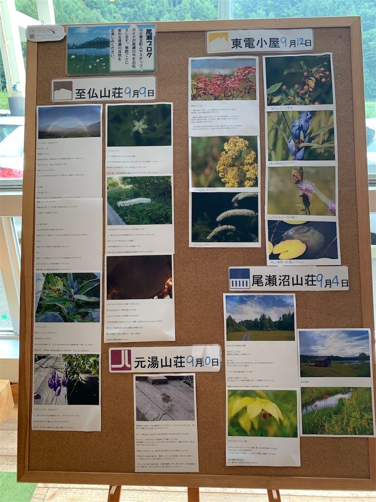 f:id:samso:20190916173845j:image