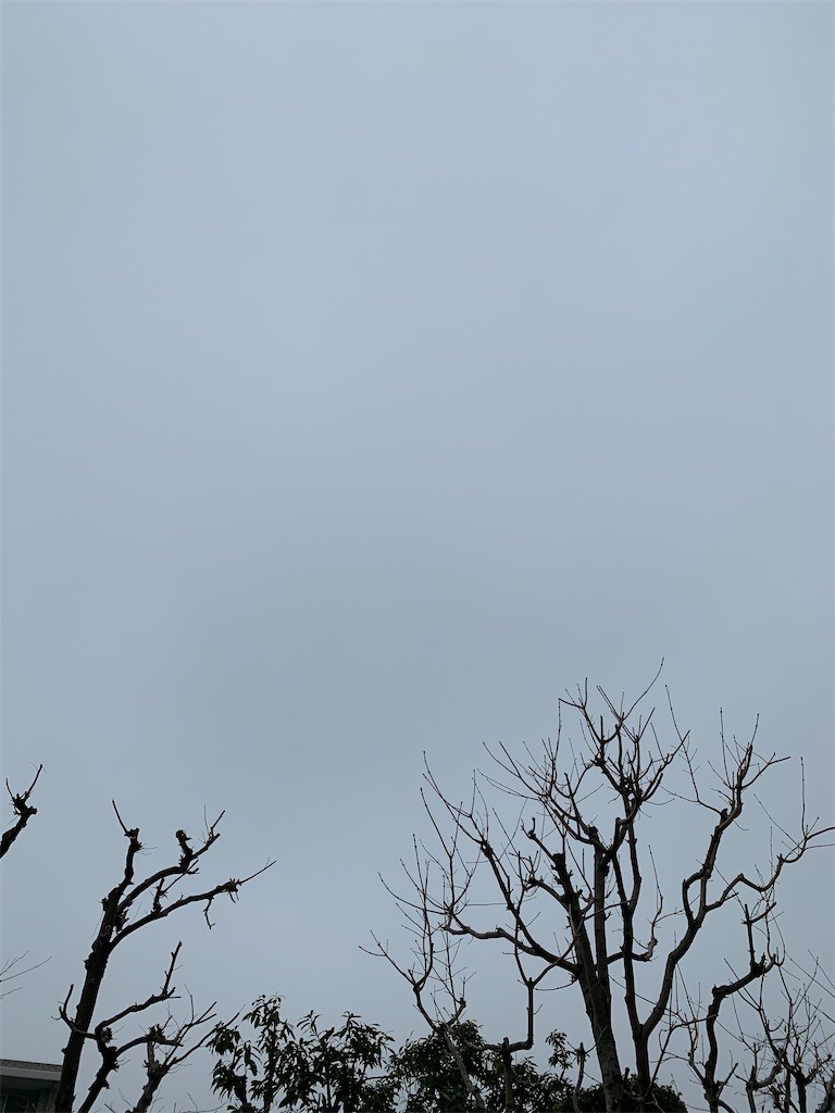 f:id:samso:20200108213947j:image f:id:samso:20200108213947j:image