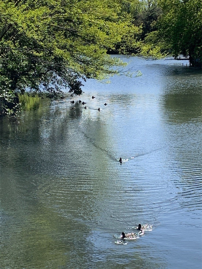 f:id:samso:20200419220719j:image