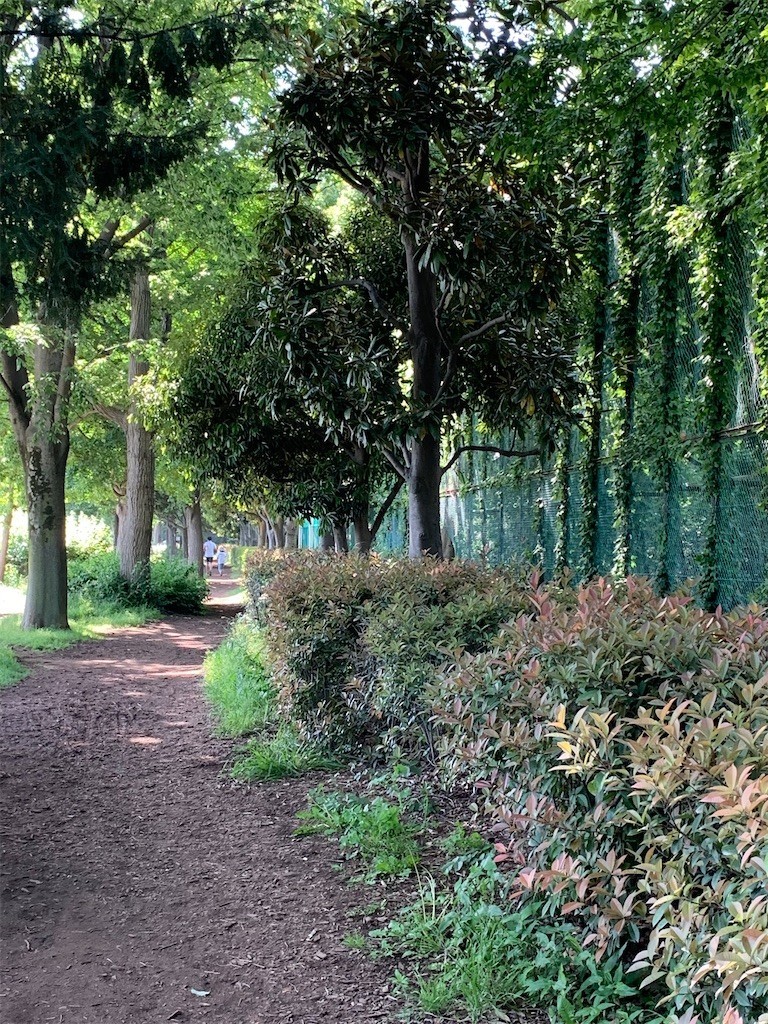 f:id:samso:20200517222900j:image