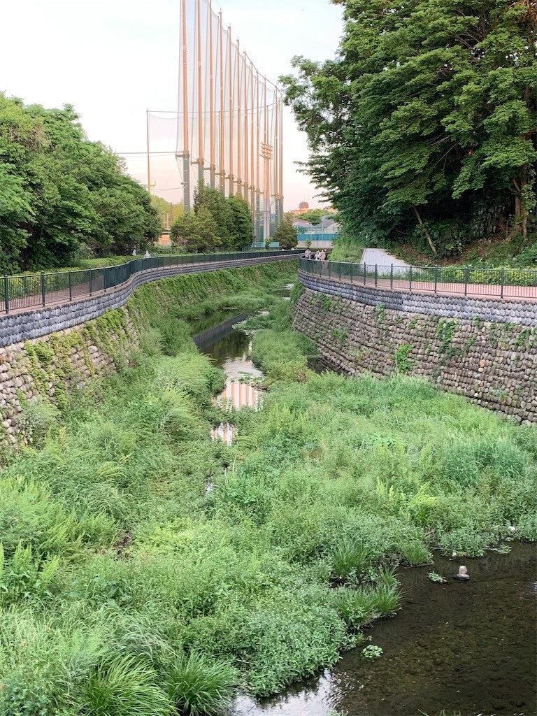 f:id:samso:20200517222946j:image