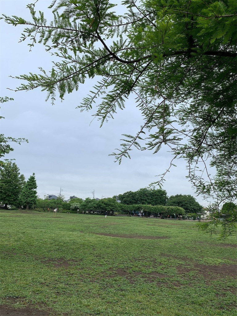 f:id:samso:20200522230835j:image f:id:samso:20200522230835j:image