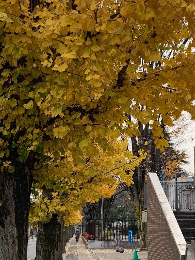 f:id:samso:20201213220829j:image