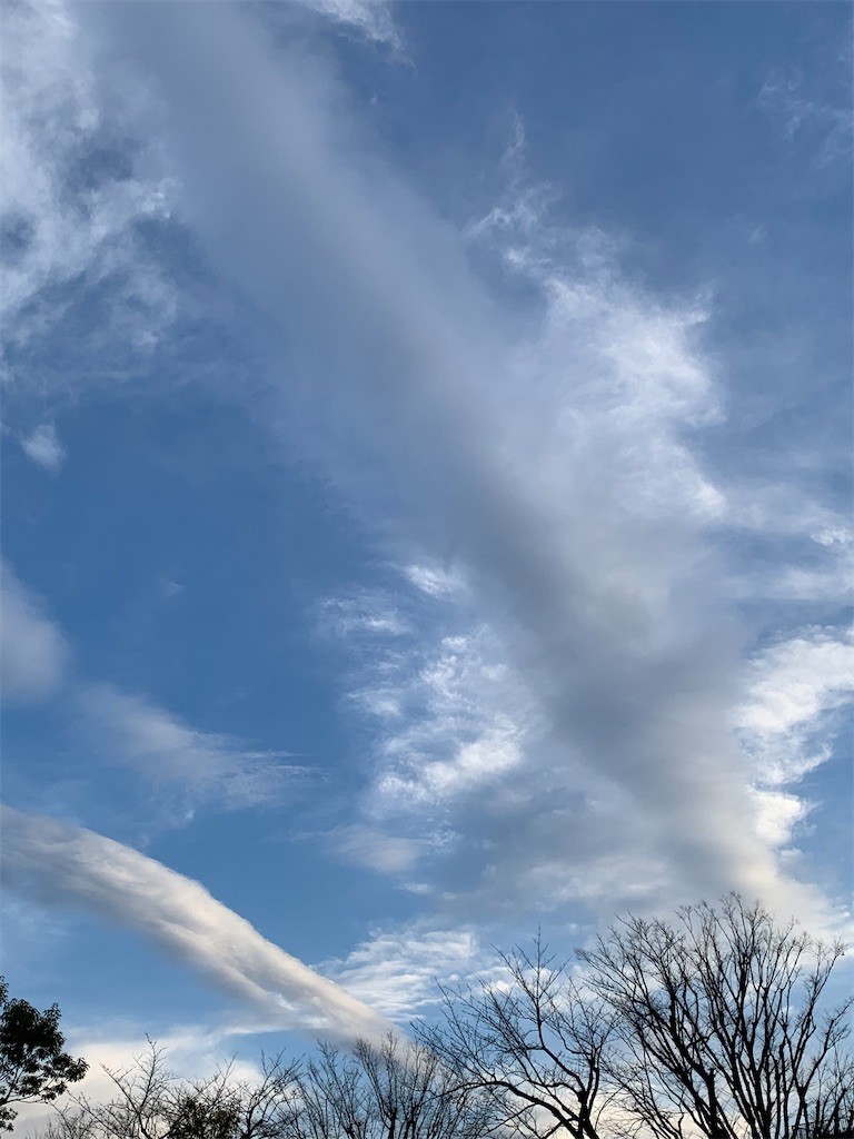 f:id:samso:20201214222024j:image f:id:samso:20201214222024j:image