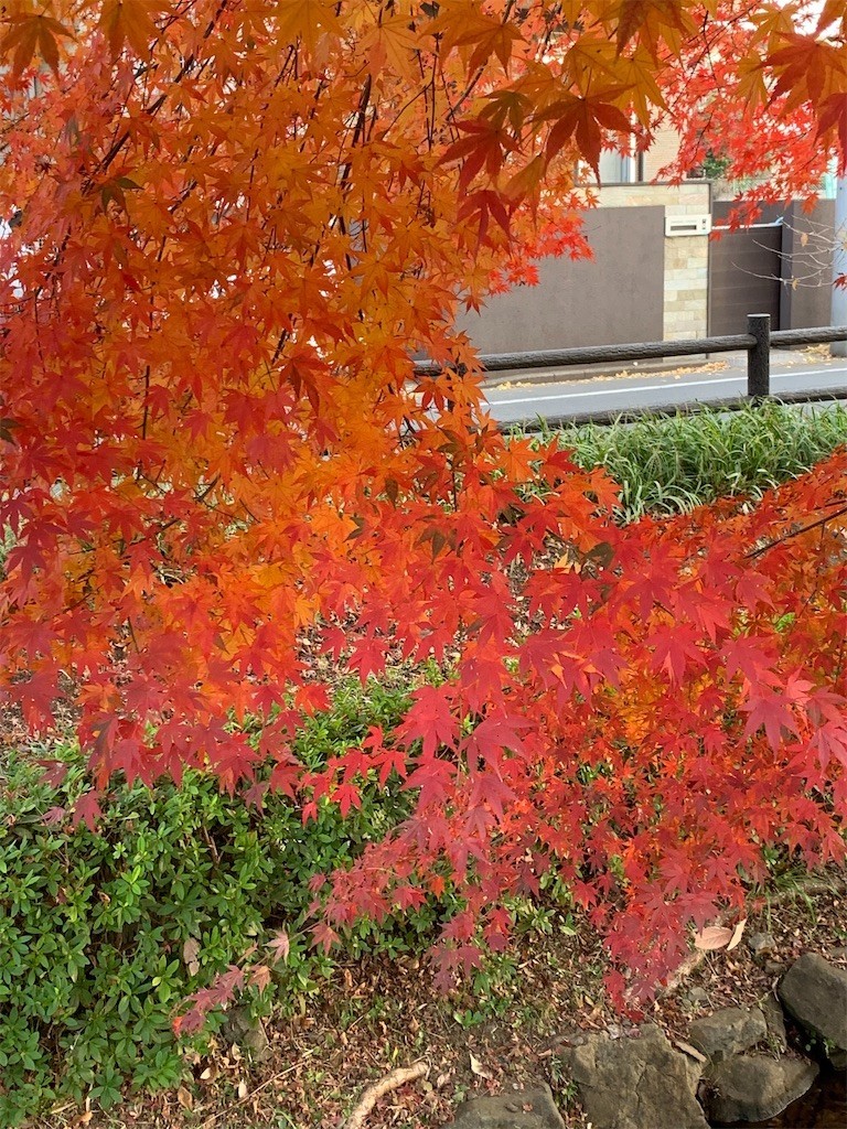 f:id:samso:20201214222035j:image f:id:samso:20201214222035j:image