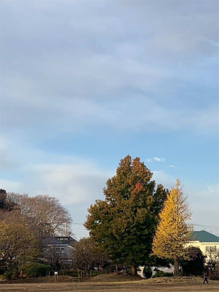 f:id:samso:20201214222047j:image f:id:samso:20201214222047j:image