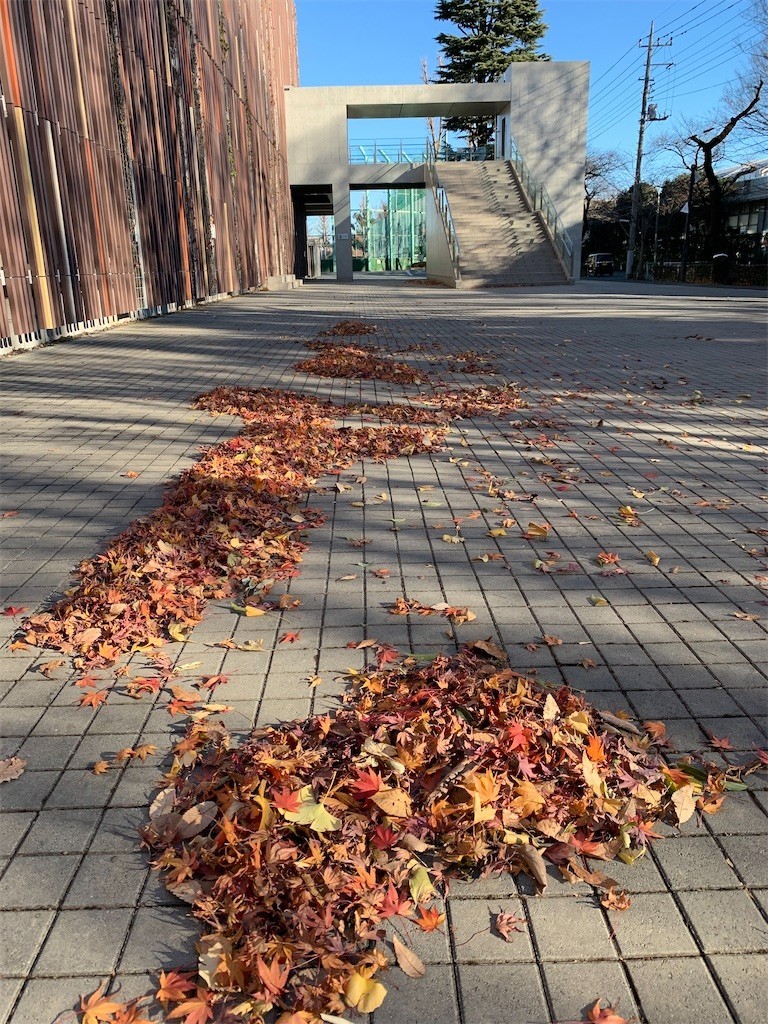 f:id:samso:20201231234802j:image