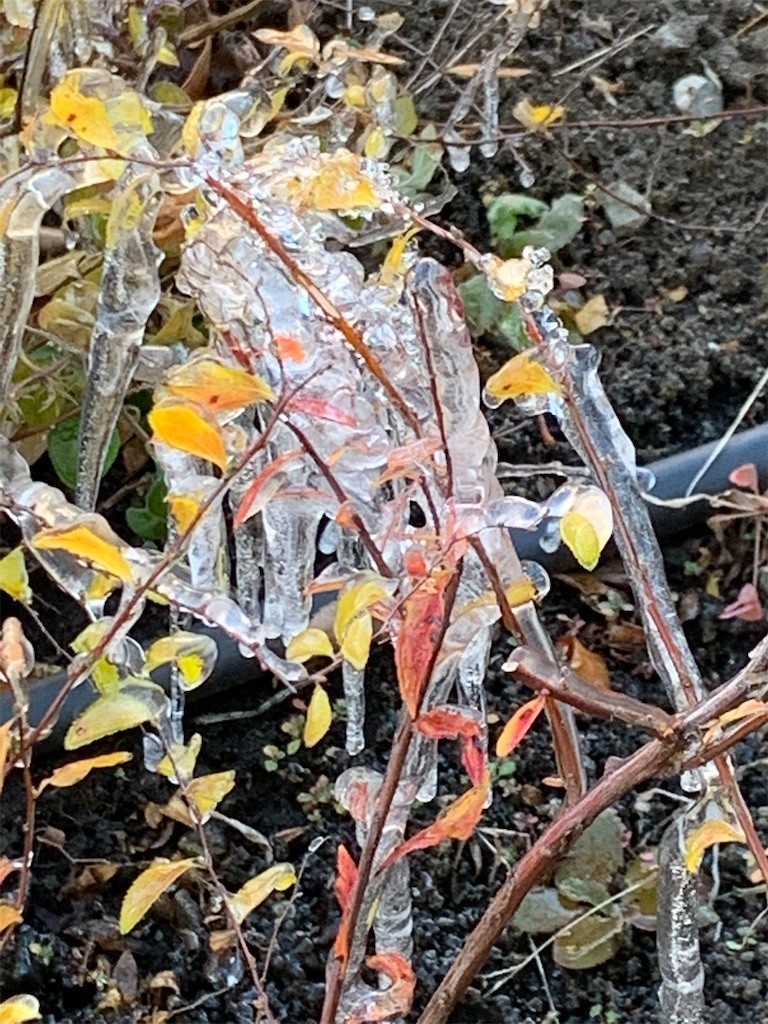 f:id:samso:20201231234815j:image