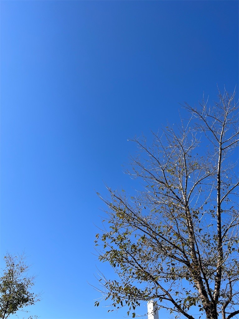 f:id:samso:20211030220159j:image