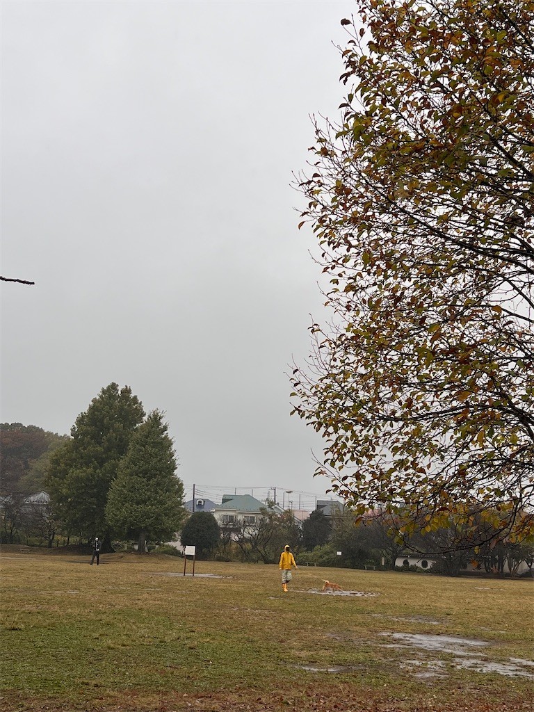 f:id:samso:20211109221028j:image f:id:samso:20211109221028j:image