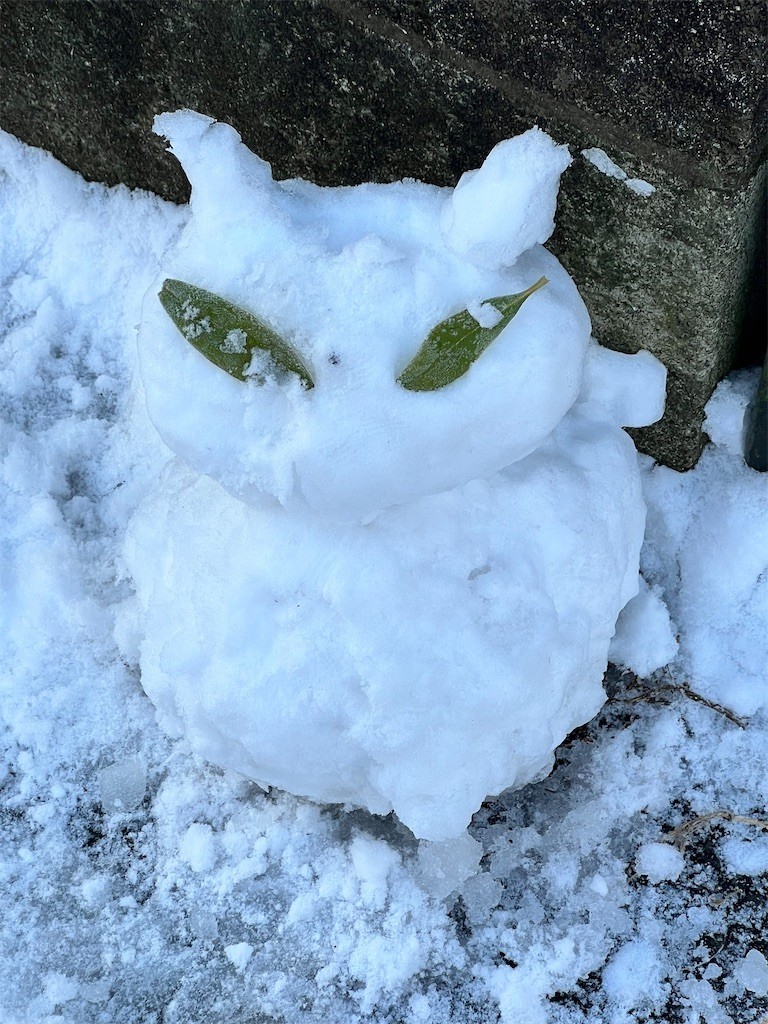 f:id:samso:20220107232024j:image