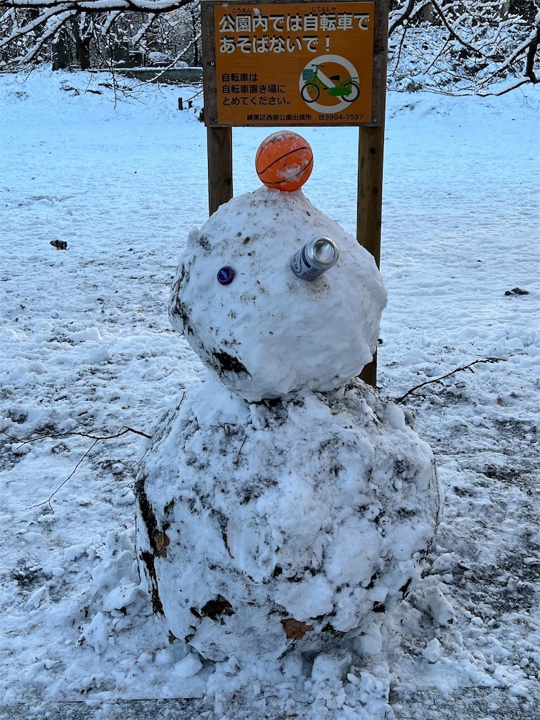 f:id:samso:20220107232027j:image