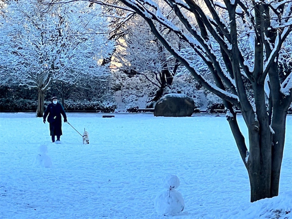 f:id:samso:20220107232030j:image