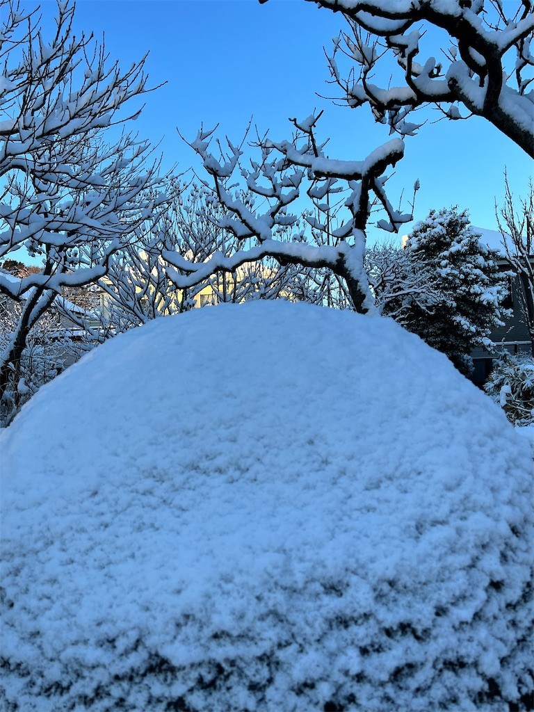 f:id:samso:20220107232033j:image