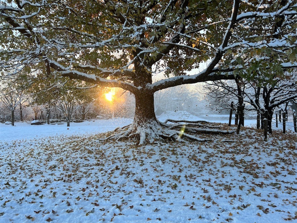 f:id:samso:20220107232036j:image