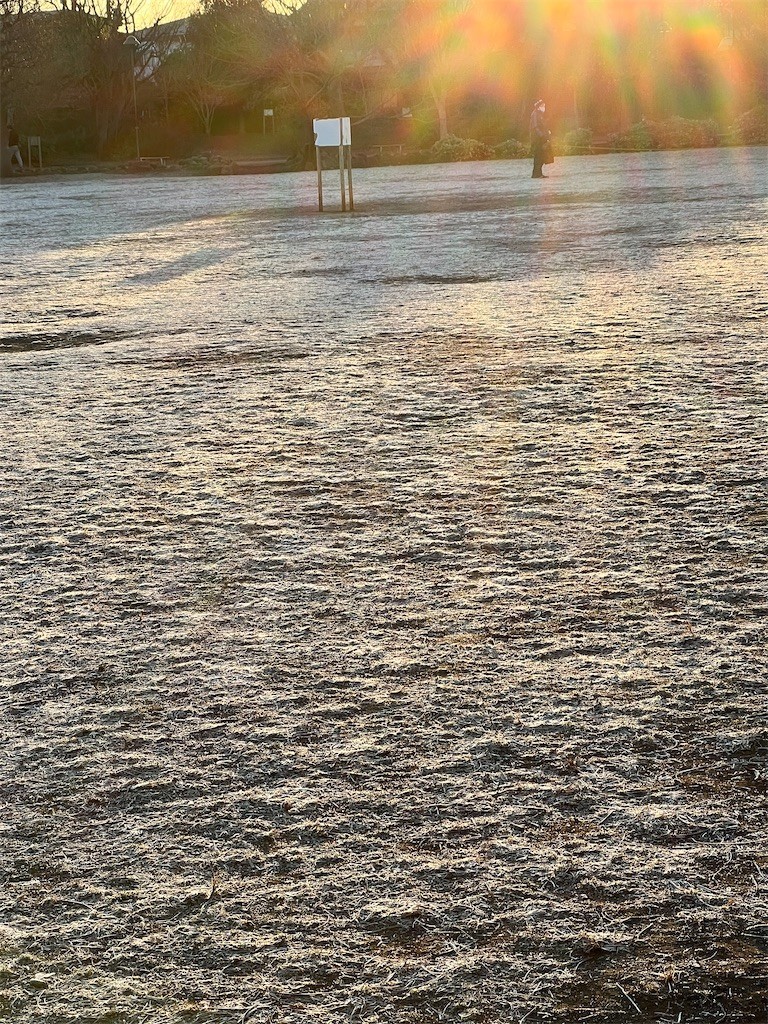 f:id:samso:20220125205447j:image