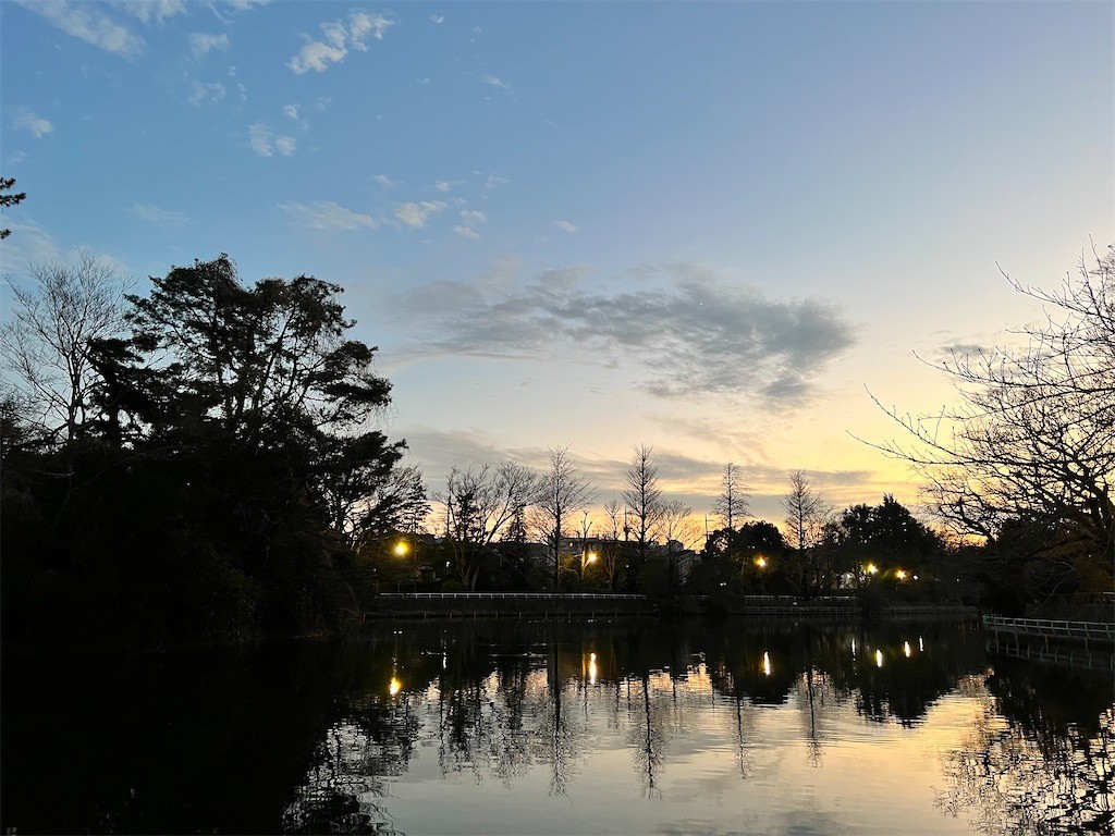 f:id:samso:20220129224809j:image