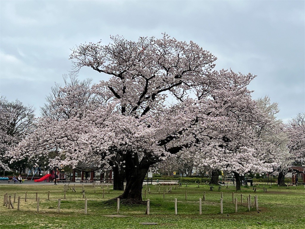 f:id:samso:20220330210518j:image