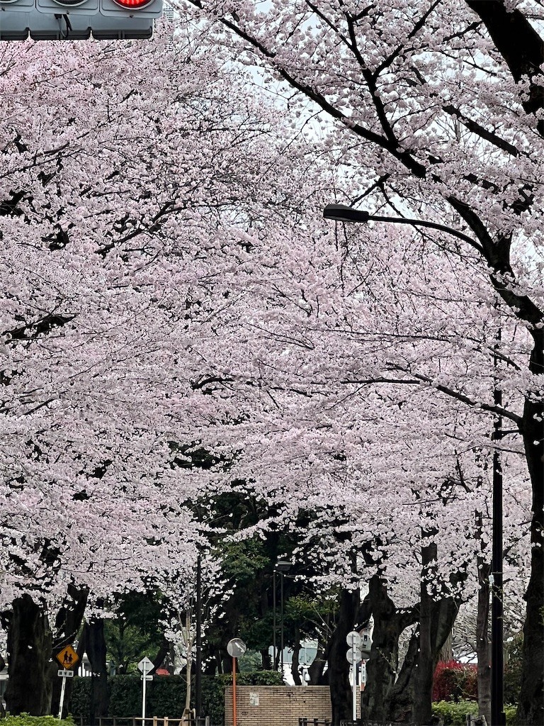 f:id:samso:20220330210520j:image