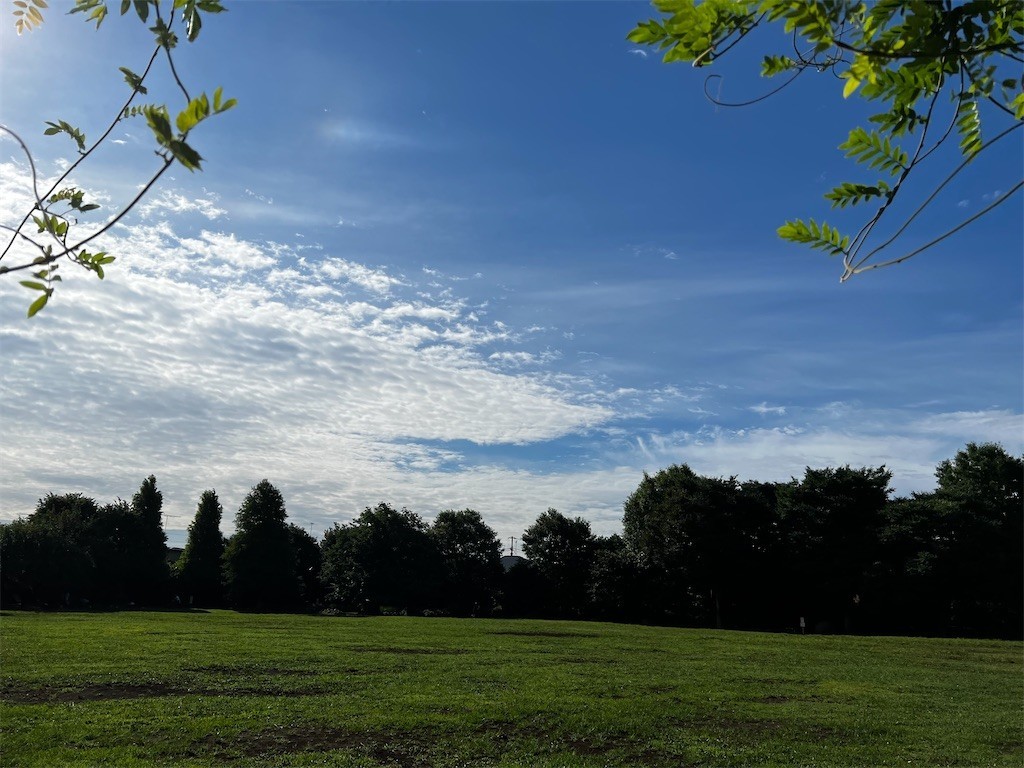 f:id:samso:20220705214545j:image