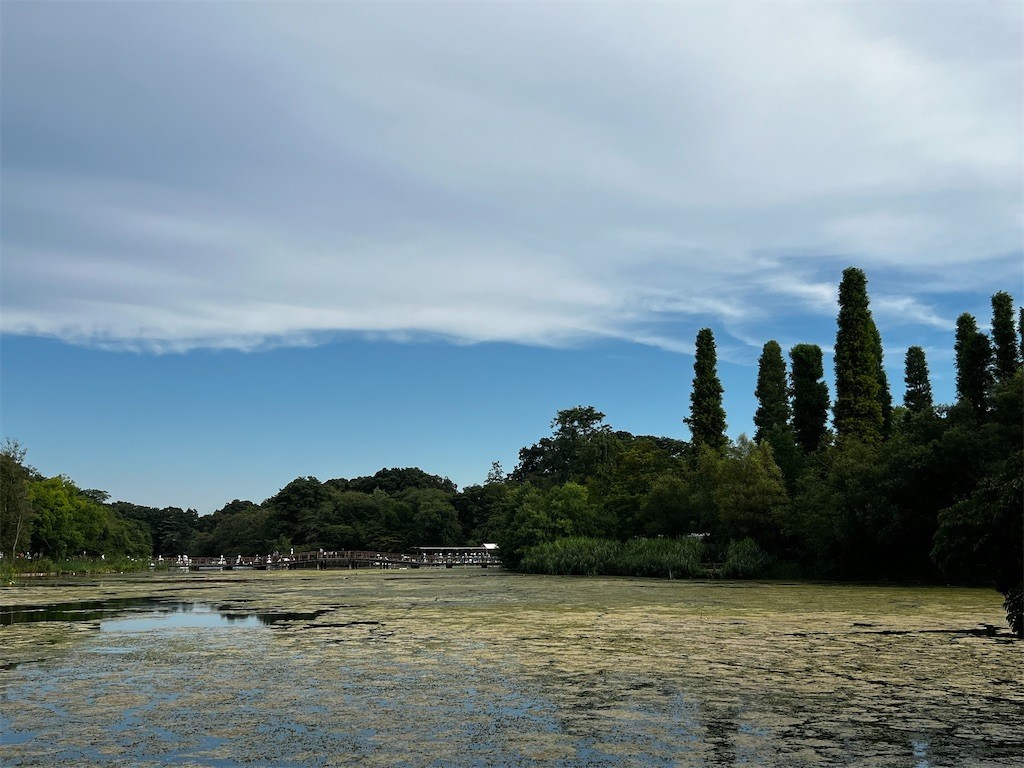 f:id:samso:20220731213546j:image