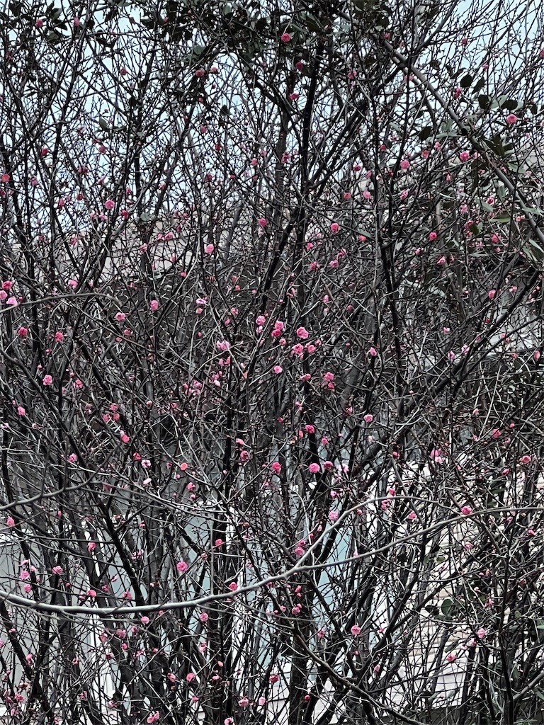 f:id:samso:20221221204756j:image f:id:samso:20221221204756j:image