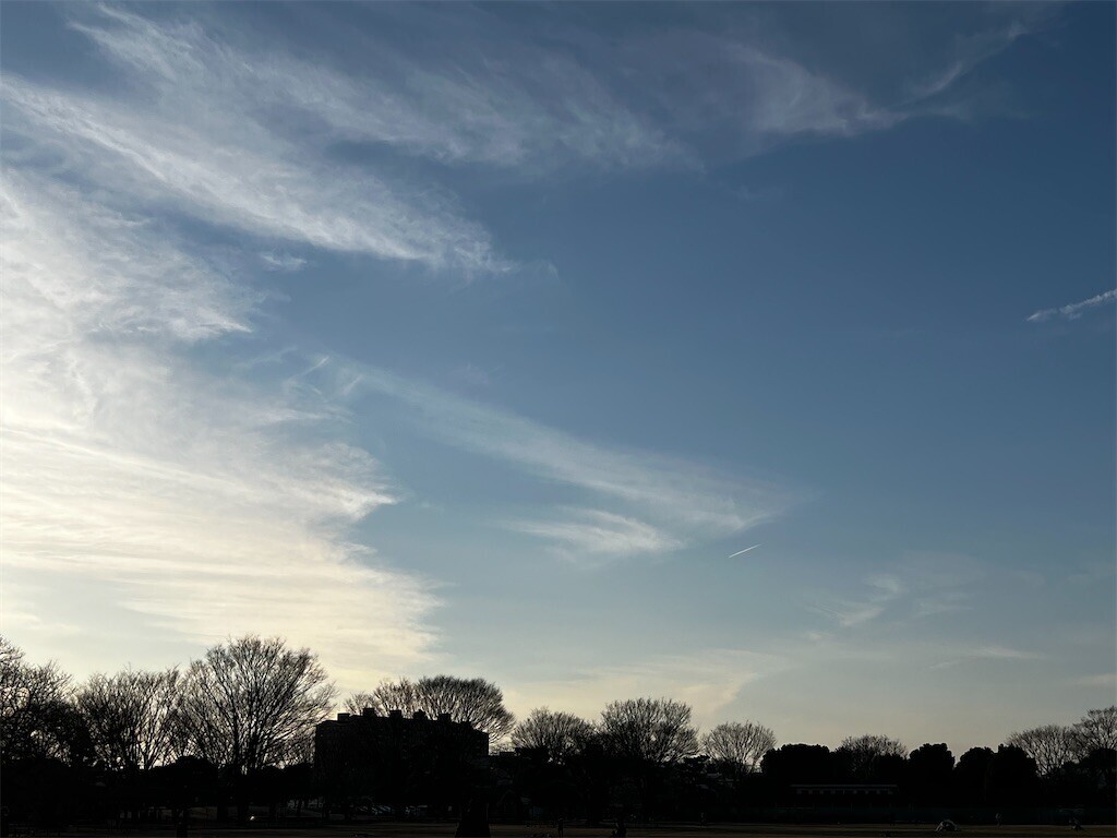 f:id:samso:20230211223617j:image